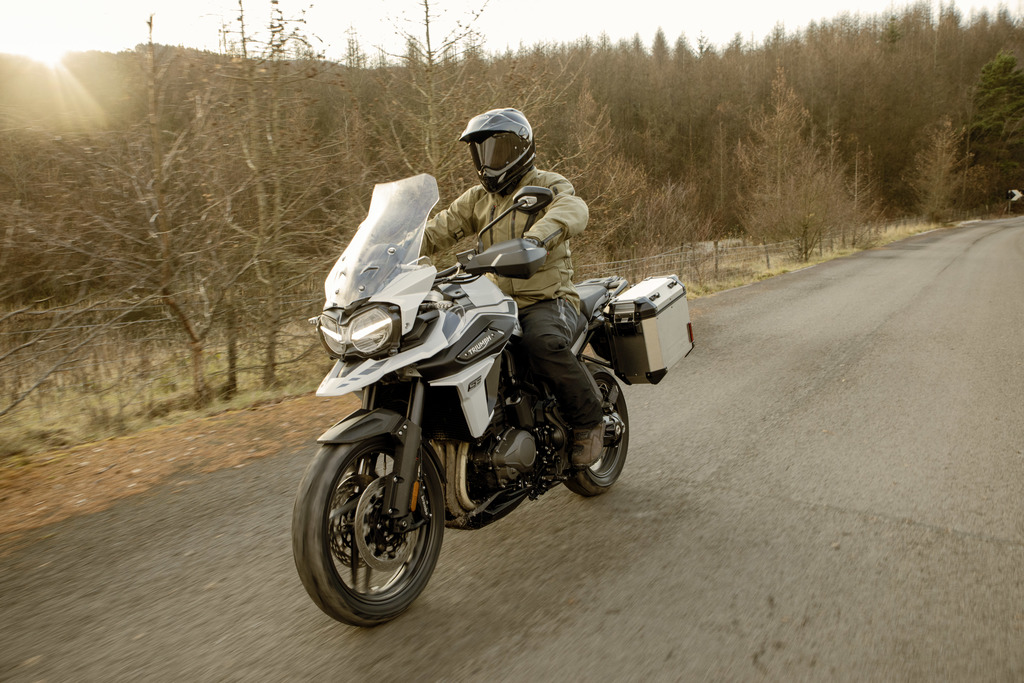 tiger 1200 alpine edition